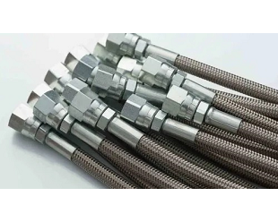 Dozz Steam Hose
